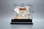 6 Inch Cow with MDF
