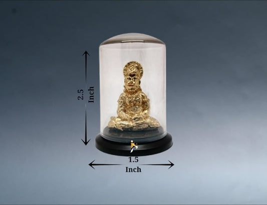 Lord Hanuman - Mini Dome