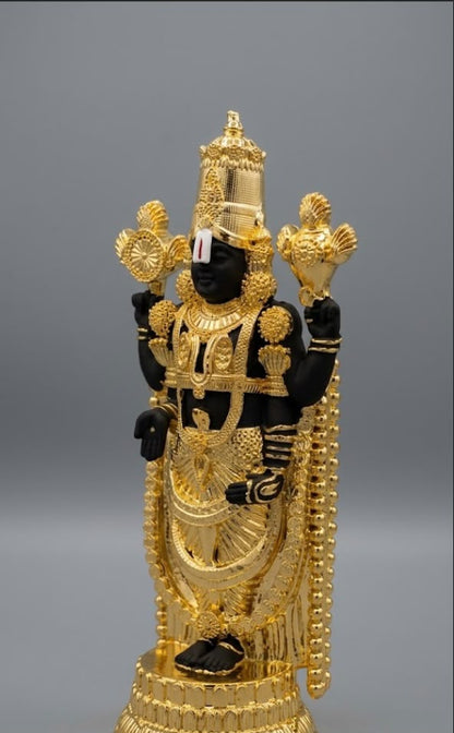Lord Venkateshwar Murti - Gold & Black