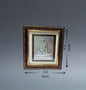 Swami Samarth - Frame No. 1